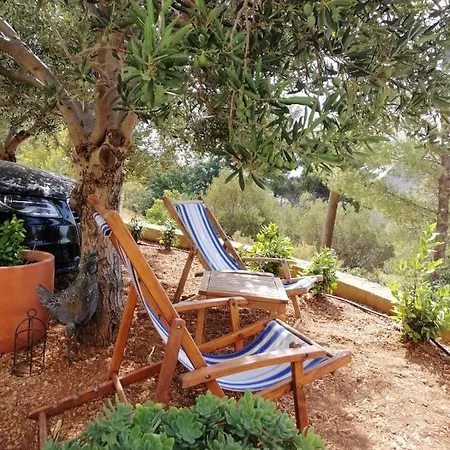 Nila Sveta Nedelja (Hvar)